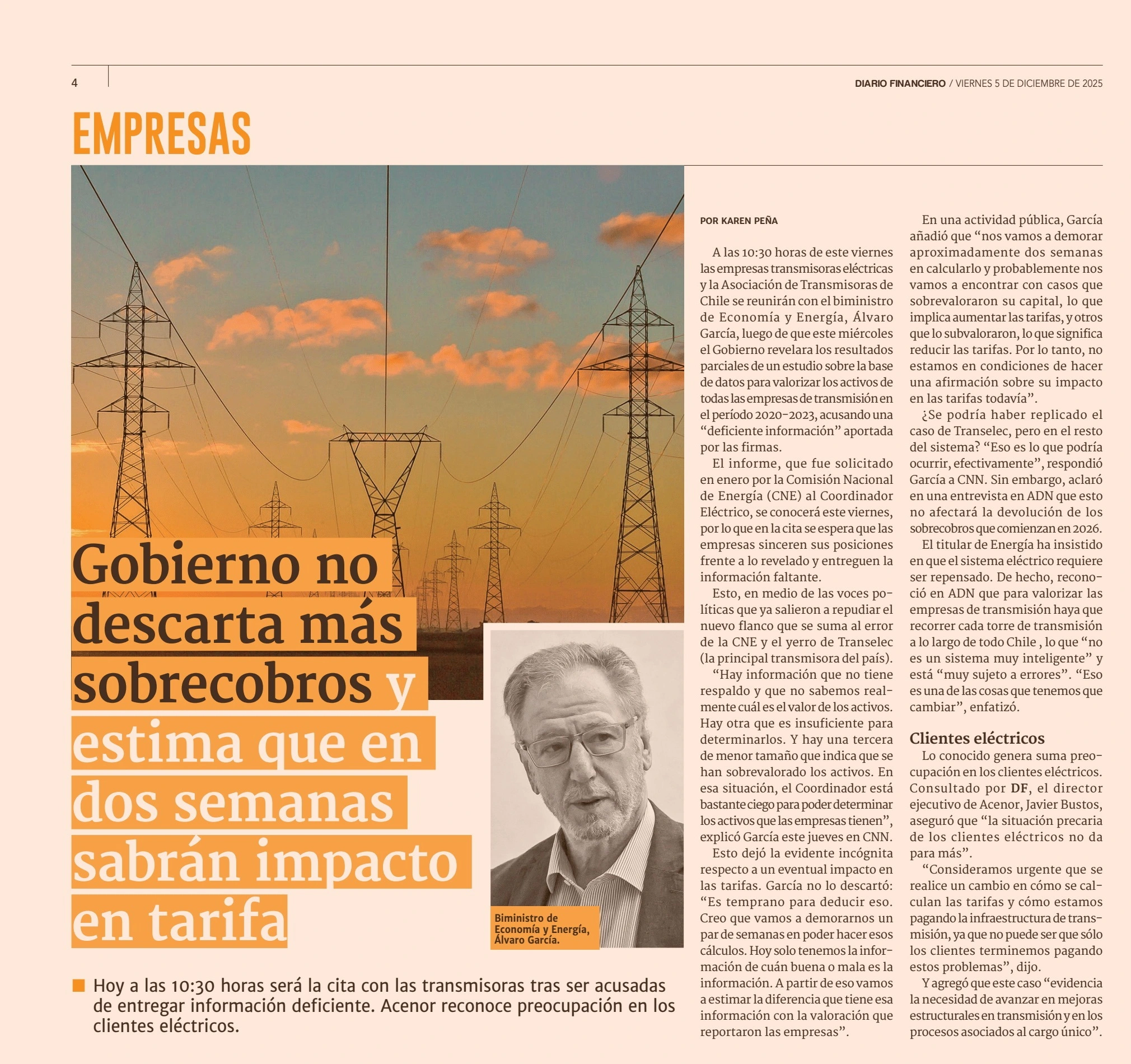 Declaración de ACENOR